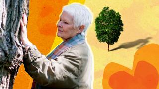 The day of remembrance on May 28 is backed by stars such as Dame Judi Dench